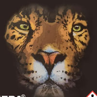 icon-rd.jpg